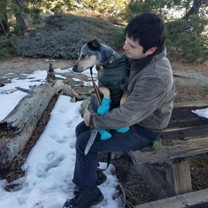 Meet your Posher, Mario